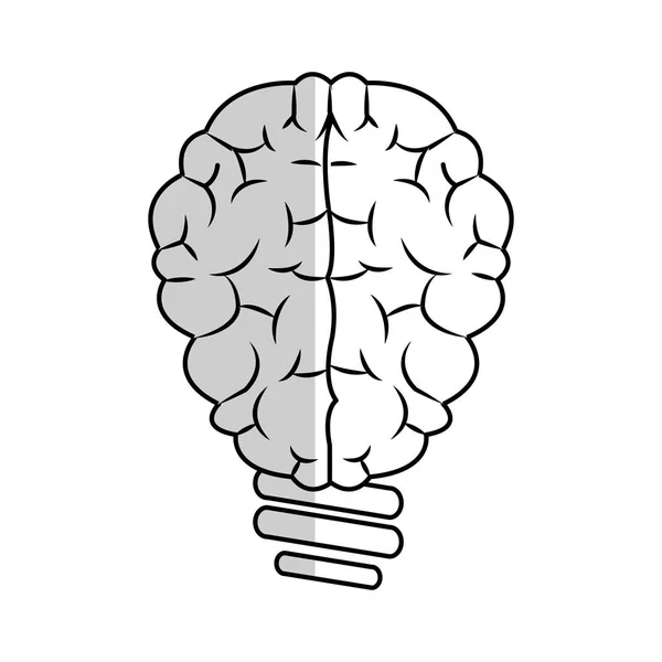 Menschliche Gehirngestaltung — Stockvektor