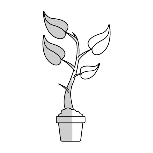 Planta en un icono de olla — Archivo Imágenes Vectoriales