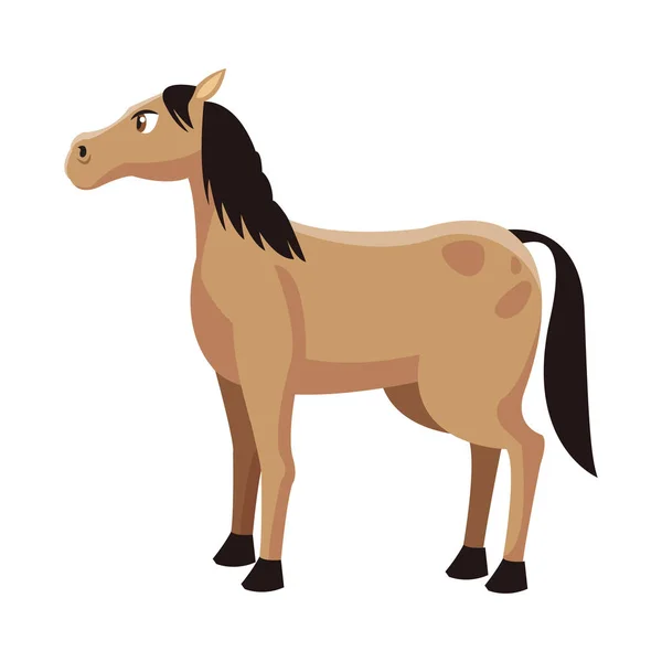 Horse cartoon icon — Stock Vector