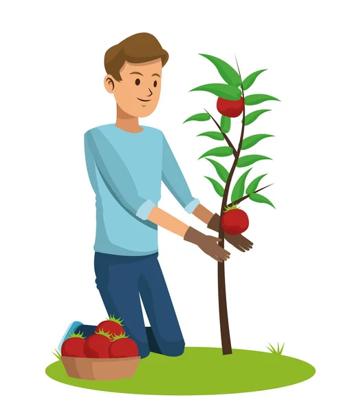 Chico con guantes cuidado tomate planta olla — Vector de stock