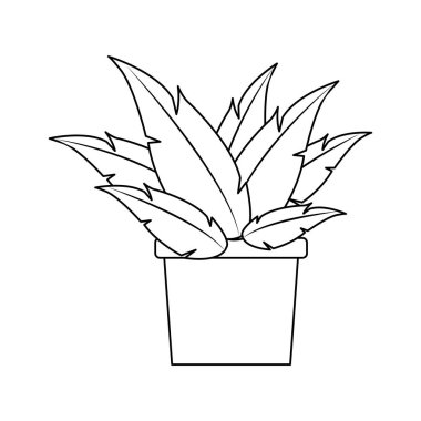 bir pot simgesi bitki