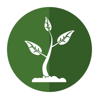 büyüyen bitki Eko gölge Filiz