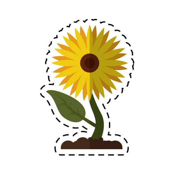 Dessin animé tournesol flore feuilles icône — Image vectorielle