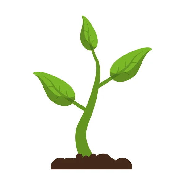 Növekvő növény eco kihajt — Stock Vector