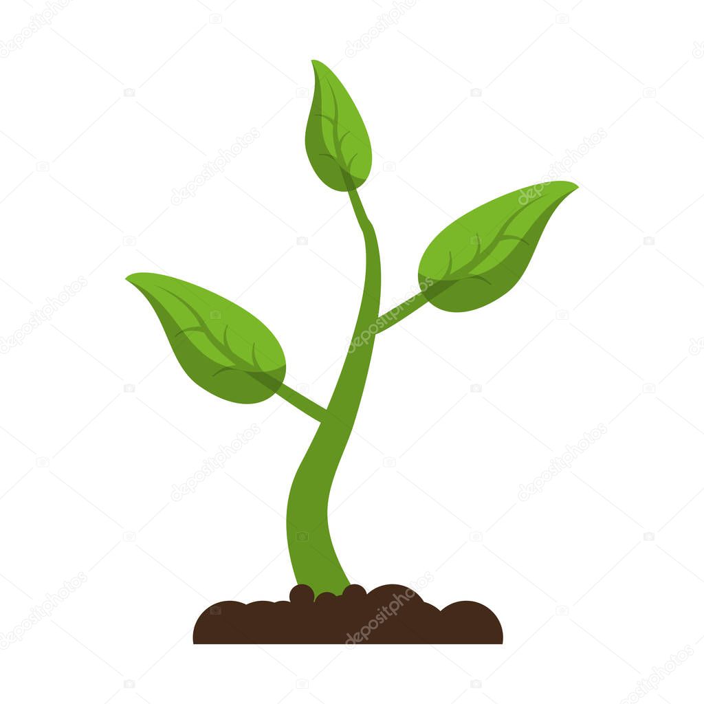 sprout growing plant eco