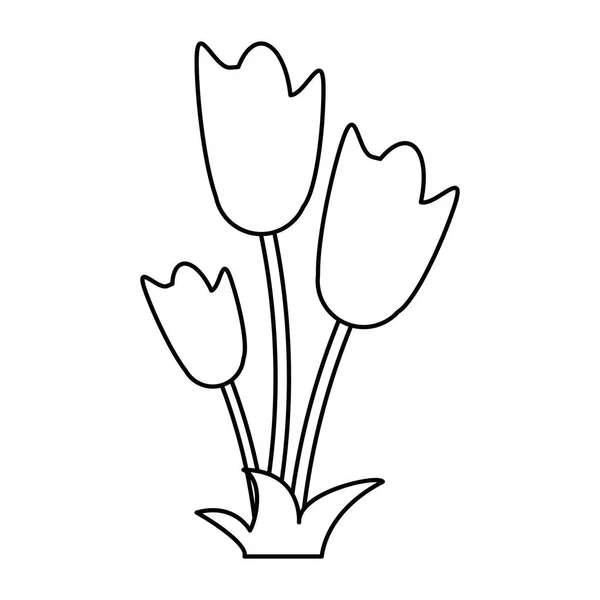 Kobiet dzień tulip kiść kwiat cienka linia — Wektor stockowy