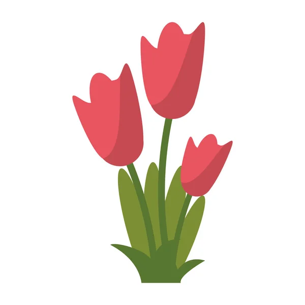 Mujer día tulipán ramo flor ornamento — Vector de stock