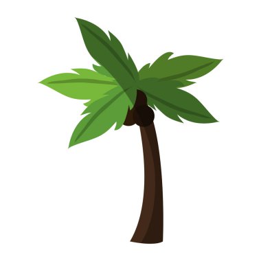 Palm simge görüntüsü