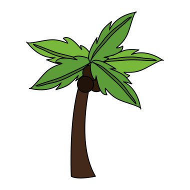 Palm simge görüntüsü