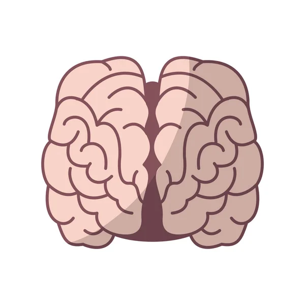 Symbol des menschlichen Gehirns — Stockvektor