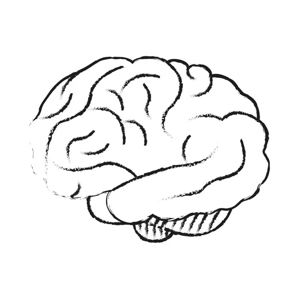 Icono del cerebro humano — Archivo Imágenes Vectoriales
