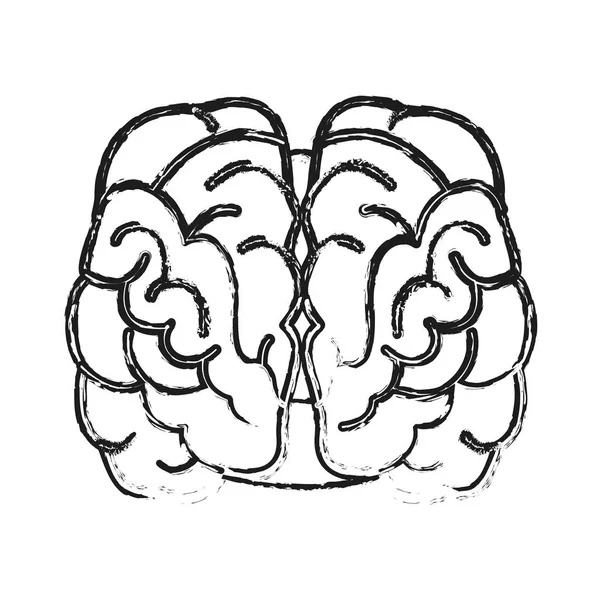 Icône du cerveau humain — Image vectorielle