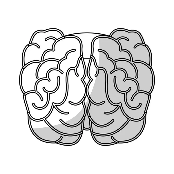 Ikon för mänsklig hjärna — Stock vektor