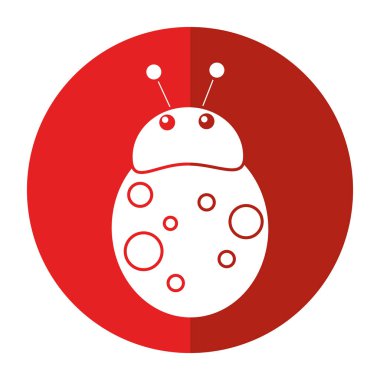 uğur böceği sinek anten hayvan gölge