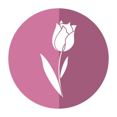 Güzellik Lale flora doğa gölge