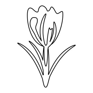 çiçek bahar doğal dekorasyon ince çizgi