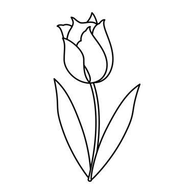 Güzellik Lale flora doğa ince çizgi