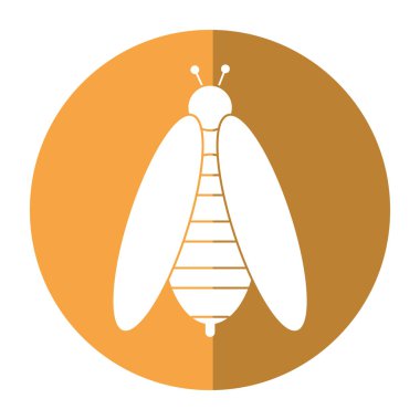 Arı bal böcek böcek gölge