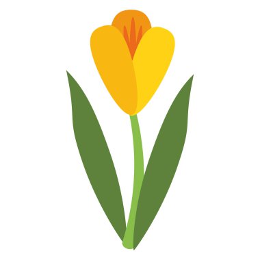 flower flora fragant garden