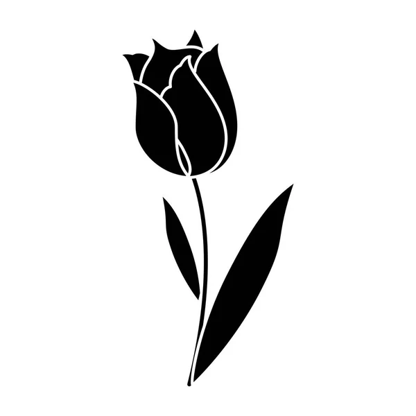 Beauty tulip flora nature pictogram — Stock vektor