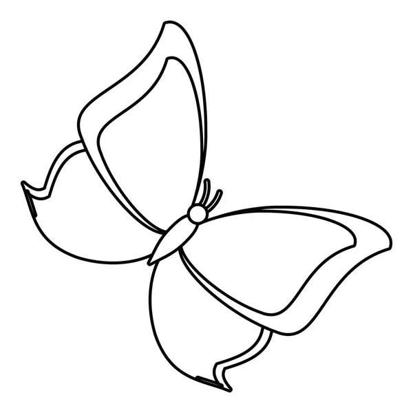 Farfalla animale insetto volare linea sottile — Vettoriale Stock