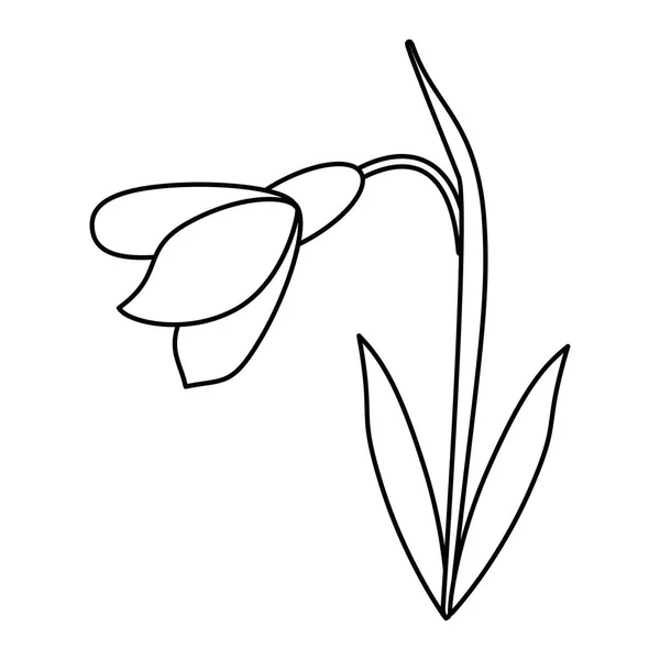 Amarillide fiore icona decorativa linea sottile — Vettoriale Stock