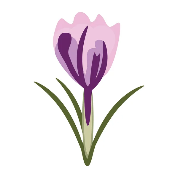 Φυσική διακόσμηση λουλουδιών άνοιξη — Διανυσματικό Αρχείο