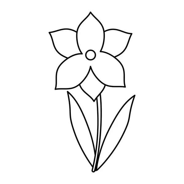 Narcissus kwiat wiosna sezon cienka linia — Wektor stockowy