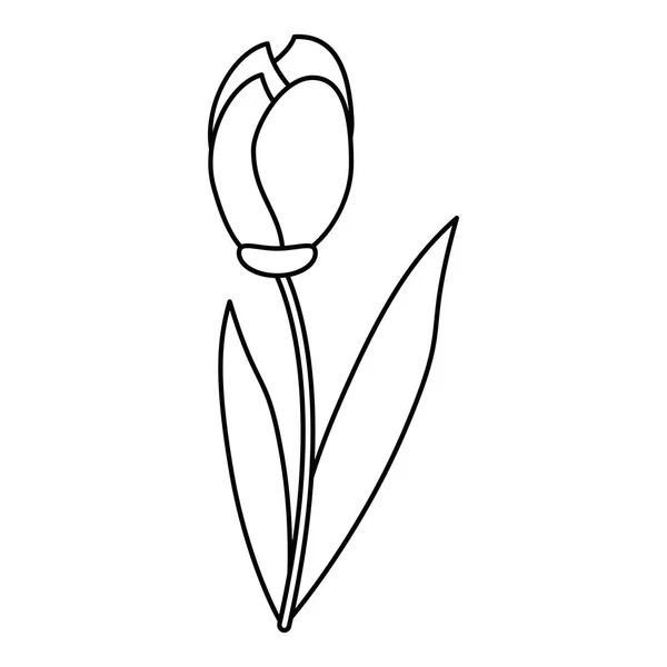 Tulip liść naturalny kwiatowy — Wektor stockowy