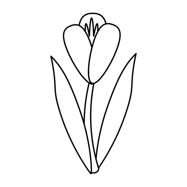 Virág növény fragant kerti vékony vonal — Stock Vector