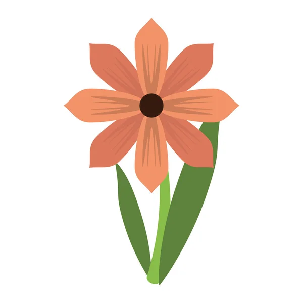 Gerbera çiçek Bahar süsleme — Stok Vektör