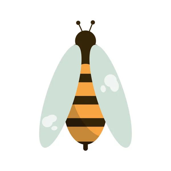 Bee honey insect insect icon — Stock Vector