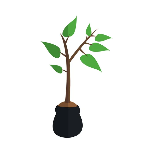 Planta en una olla — Vector de stock