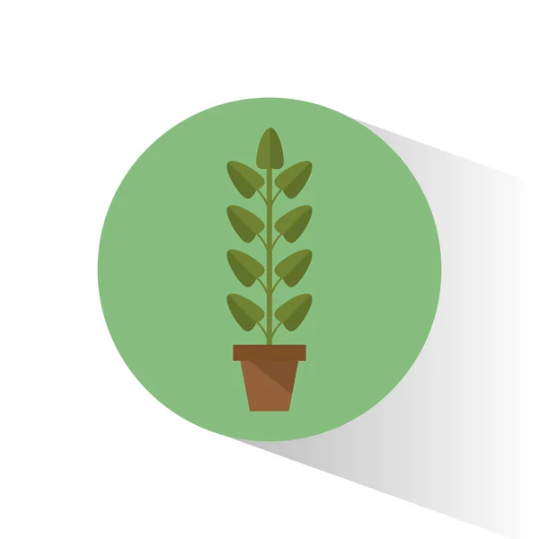 Δοχείο Βιολογίας φυτών — Διανυσματικό Αρχείο