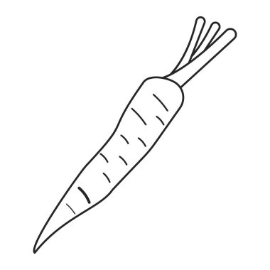 havuç sebze beslenme ince çizgi