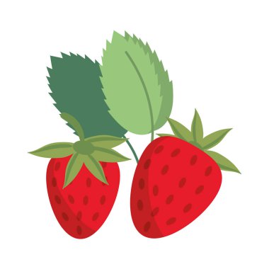 çilek vitamini doğa