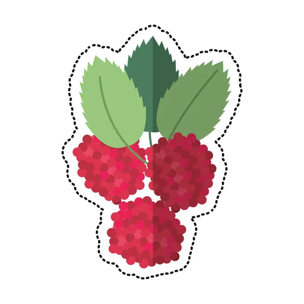 Cartoon raspberry natural diet icon — Stock Vector