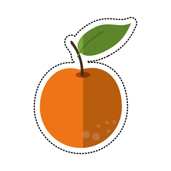 Desenho animado laranja citrinos ícone — Vetor de Stock