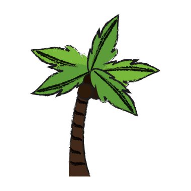 tropik palmiye simgesi