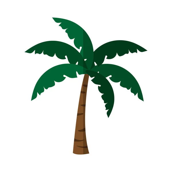 Tropisch palmpictogram — Stockvector