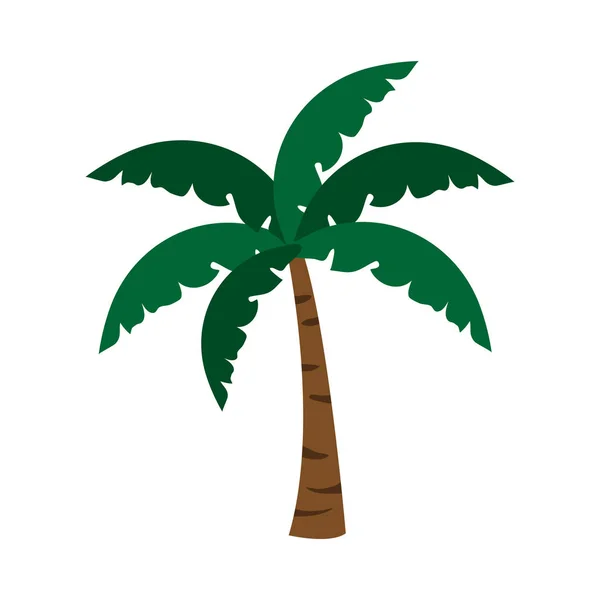Tropisch palmpictogram — Stockvector
