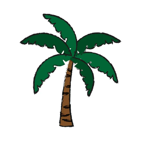 Icône de palmier tropical — Image vectorielle