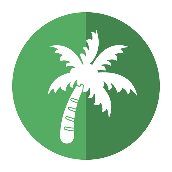 Palme Strand Symbol Schatten — Stockvektor