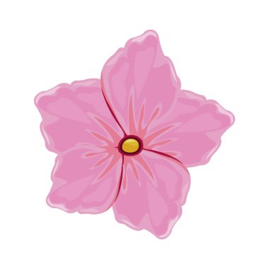 çiçek Sardunya florish görüntü