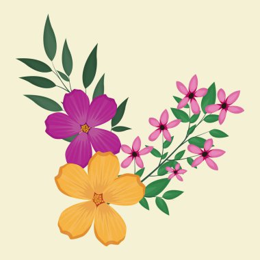 Plumeria çiçek süsleyici resim