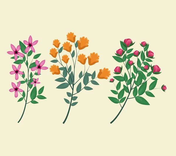 Bloemen planten voorjaar decoratieve — Stockvector
