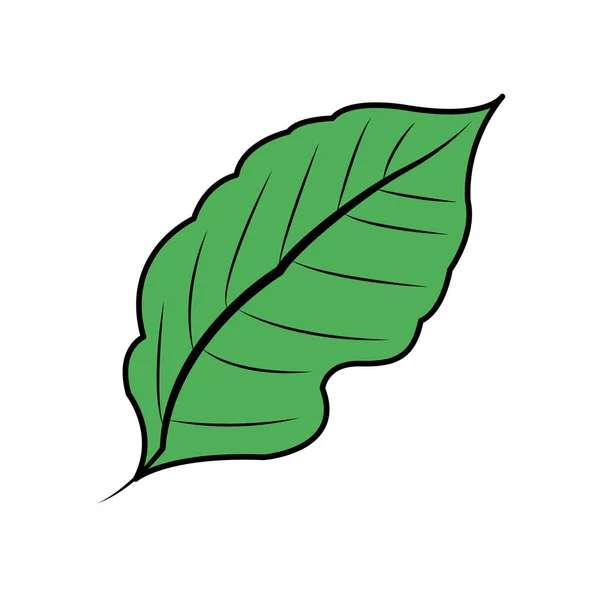 Icono de hoja verde imagen — Vector de stock