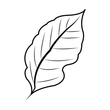 yaprak bitki simge görüntüsü