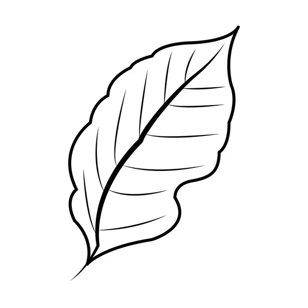 Symbolbild Blattpflanze — Stockvektor