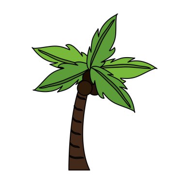 palmiye ağacı simge görüntüsü